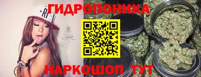 ПСИЛОЦИБИНОВЫЕ ГРИБЫ Кулебаки